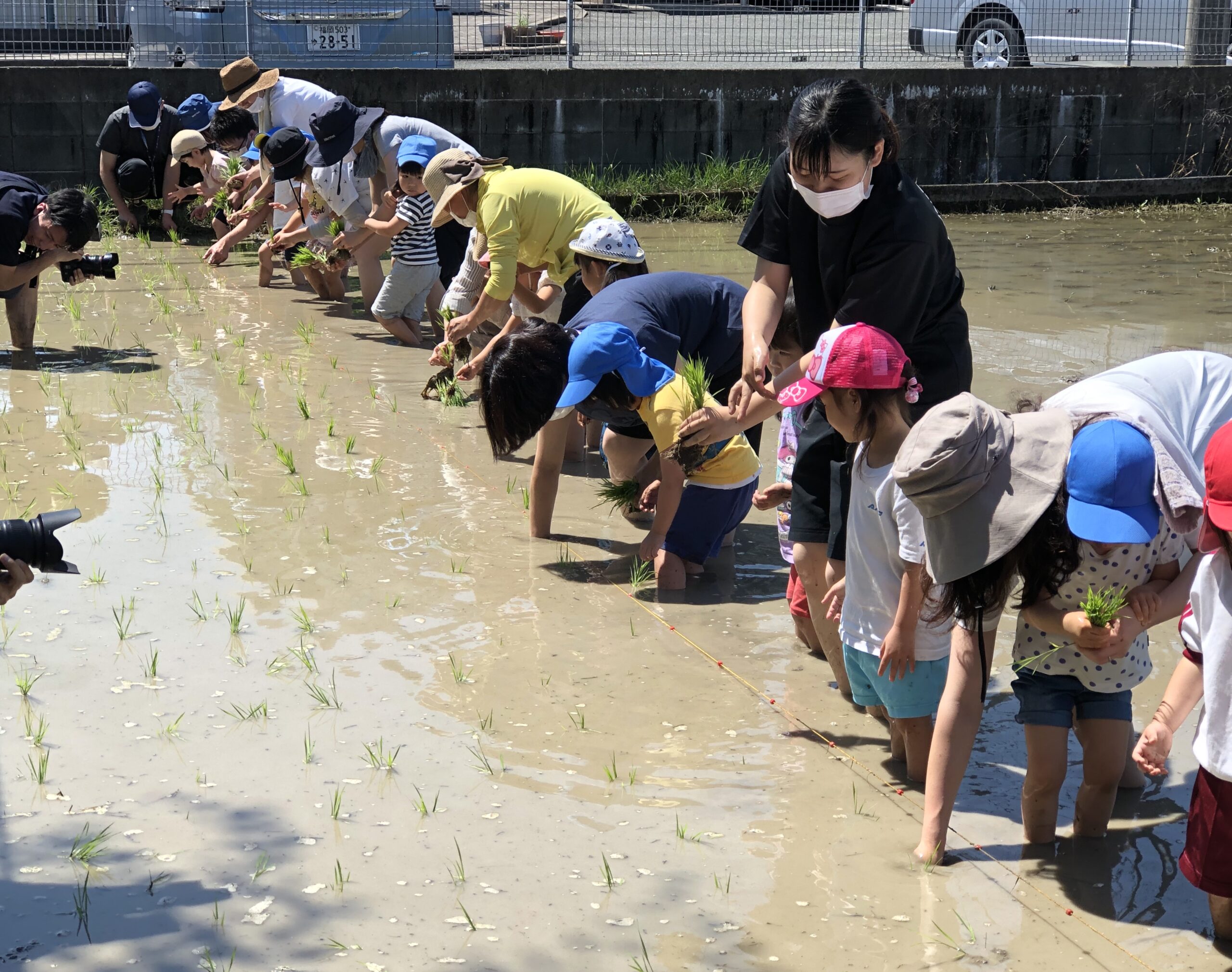 田植え体験🌱